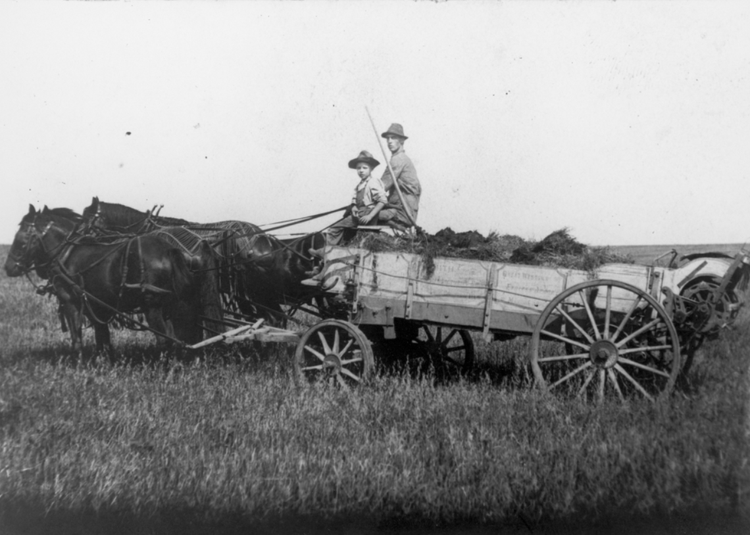 A father and son (not H. C. Fackelman or family) on a horse-drawn cart.